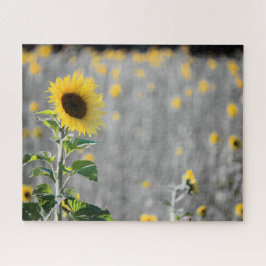 Ein Feld der Sonnenblumen in Schwarz und Weiß Puzzle