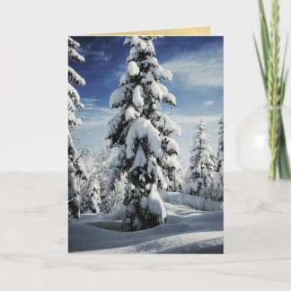 Ein Feld der Weihnachtsbäume Feiertagskarte