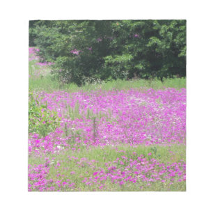 Ein Feld rosa Frühlingswildblumen Notizblock