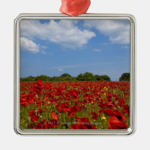 Ein Feld voll der roten Blumen Silbernes Ornament