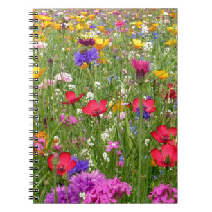 Ein Feld von farbenfrohen Wildblumen Naturdesign Notizblock