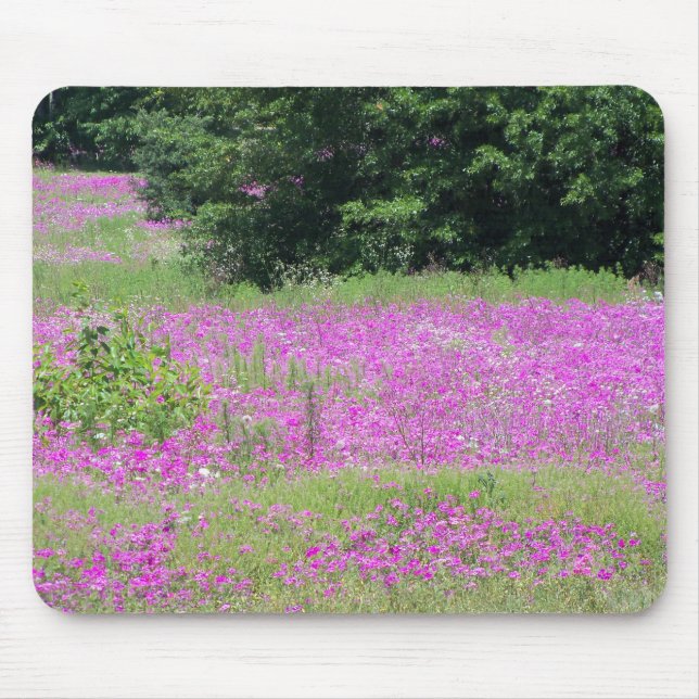 Ein Feld von rosa Frühlingsfrühlingstraßen-Wildblu Mousepad (Vorne)