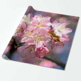 Ein Fest der rosa Sakura-Blume Geschenkpapier