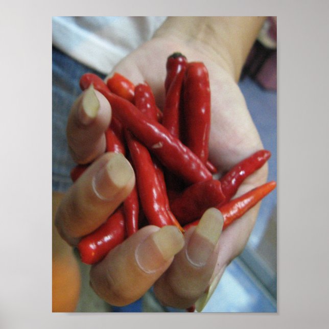 Ein Fistful des Chilis ... Thai Street Food Poster (Vorne)