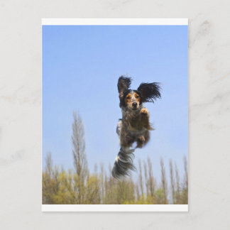 Ein fliegender Hund! Postkarte