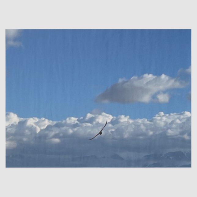 Ein Flug unter den Wolken Seidenpapier (Vorderseite)