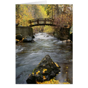 Ein Fluss, der durch amerikanische Gabel-Schlucht