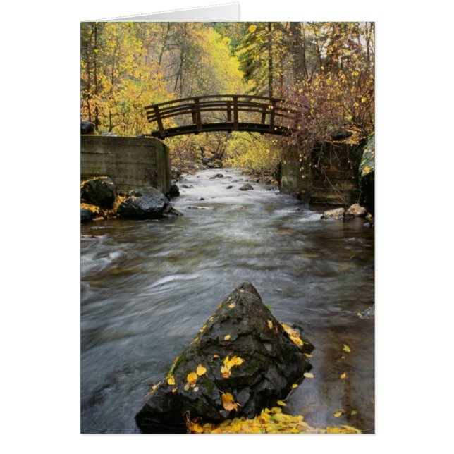 Ein Fluss, der durch amerikanische Gabel-Schlucht (Vorne)