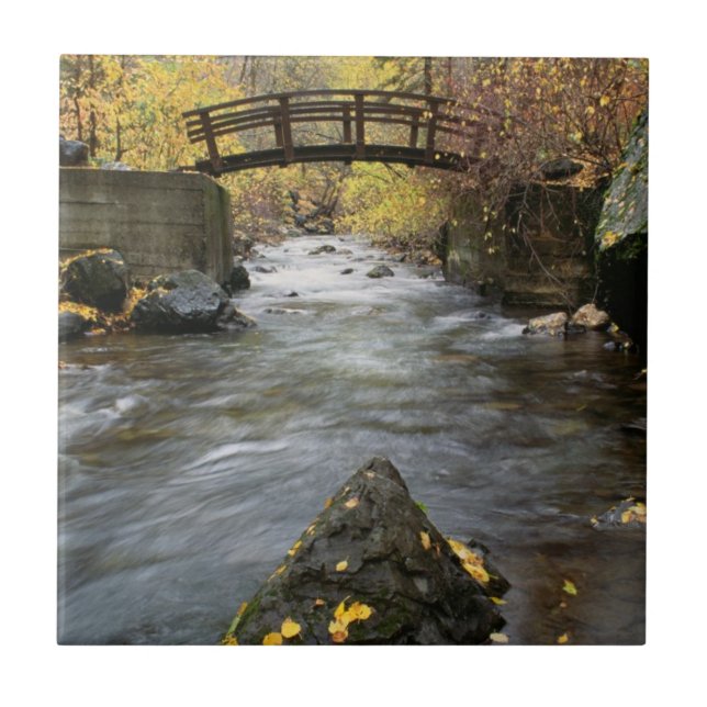 Ein Fluss, der durch amerikanische Gabel-Schlucht Fliese (Vorderseite)