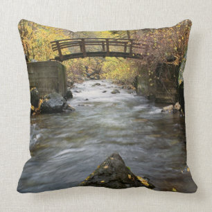 Ein Fluss, der durch amerikanische Gabel-Schlucht Kissen