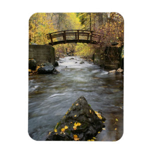 Ein Fluss, der durch amerikanische Gabel-Schlucht Magnet