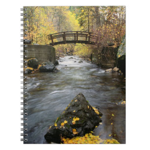 Ein Fluss, der durch amerikanische Gabel-Schlucht Notizblock