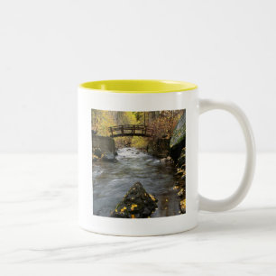 Ein Fluss, der durch amerikanische Gabel-Schlucht Zweifarbige Tasse