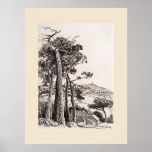 Ein Folly Cornwall Druck, Eleanor M Hughes Nachdru
