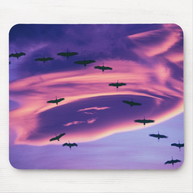 Ein Foto aus Sandhill-Kranen Mousepad (Vorne)