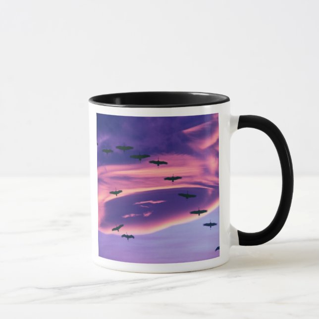 Ein Foto aus Sandhill-Kranen Tasse (Rechts)
