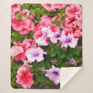 Ein Foto der Natur ist eine wunderschöne Petunia-B Sherpadecke