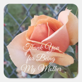 Ein Foto einer orangen Rose Danke Mutter Square Quadratischer Aufkleber