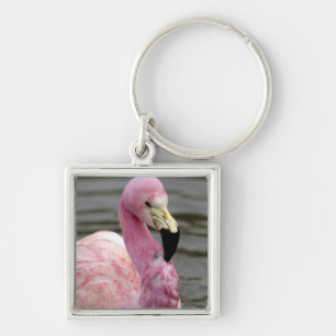 Ein Foto eines Andenflamingos in Gefangenschaft Schlüsselanhänger