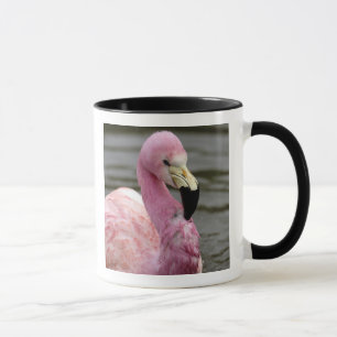 Ein Foto eines Andenflamingos in Gefangenschaft Tasse