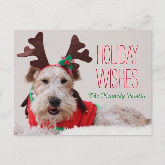Ein Foxterrier wird oben für Weihnachten gekleidet (Vorderseite)