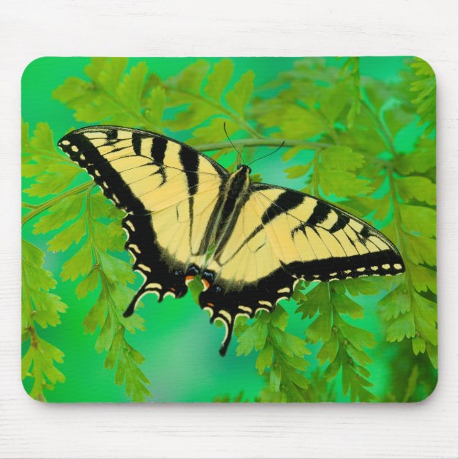 Ein Frack-Schmetterling-Landing Mousepad (Vorne)