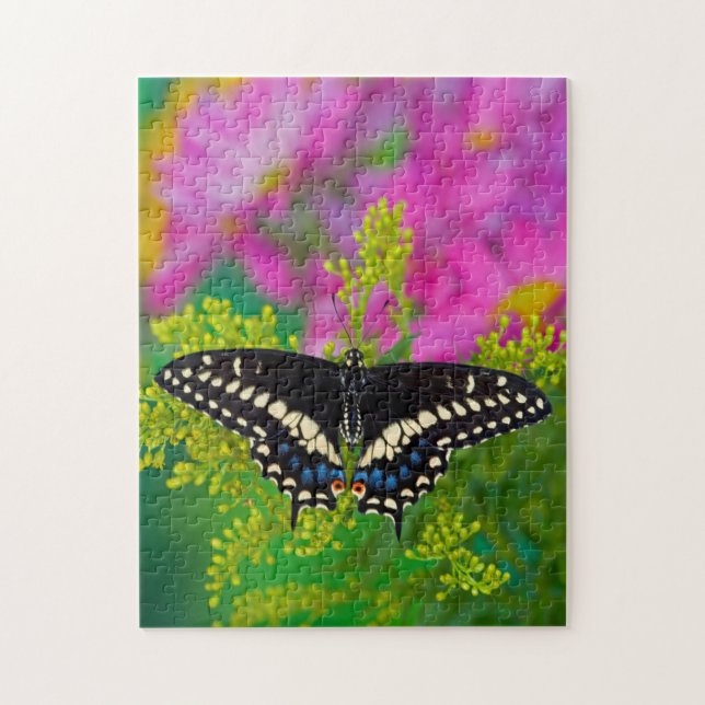 Ein Frack-Schmetterling-Landing Puzzle (Vertikal)