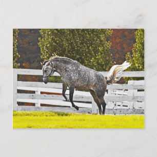 Ein freudiger Schritt Postkarte