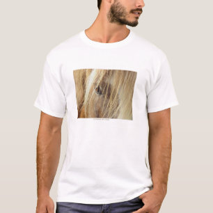 Ein Freund für überhaupt T-Shirt