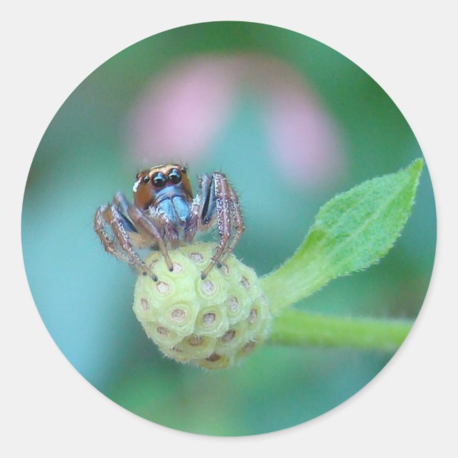 Ein Freund zum Jumping Jack! Runder Aufkleber (Vorderseite)