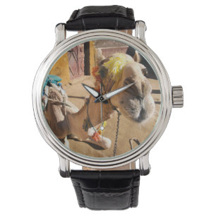 Ein freundliches Kamel wartet auf seinen nächsten Armbanduhr