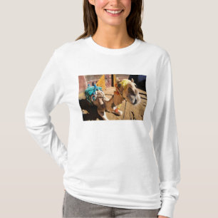 Ein freundliches Kamel wartet auf seinen nächsten T-Shirt