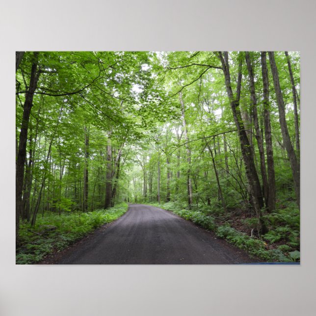 Ein Friedlicher Spaziergang im Wald Poster (Vorne)