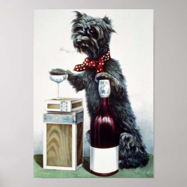 Ein fröhlicher Hund Poster (Vorne)