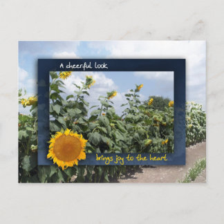 Ein fröhlicher Look bringt Freude Postkarte