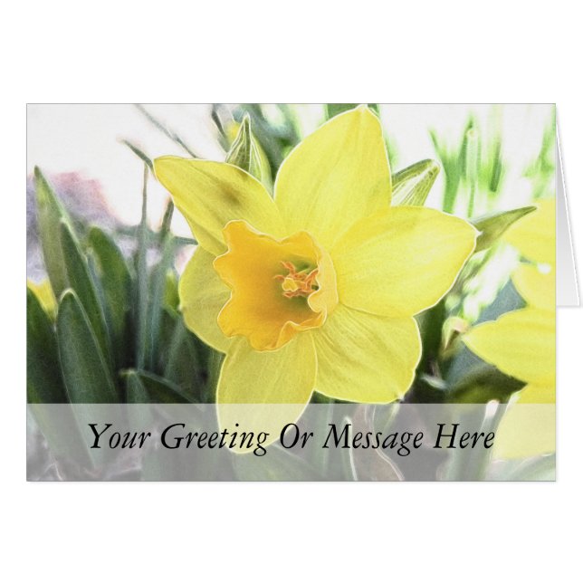 Ein fröhliches gelbes Daffodil (Vorderseite (Horizontal))