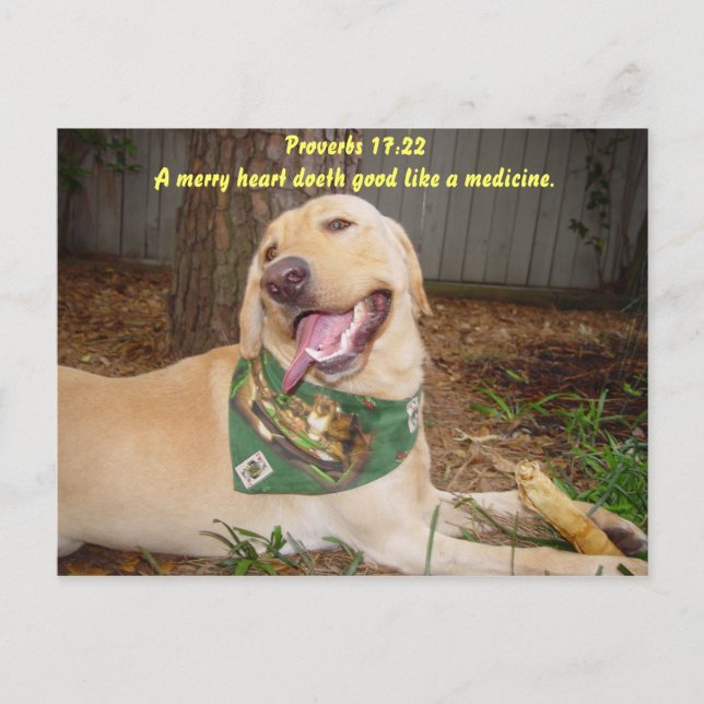 Ein fröhliches Herz tut gut wie ein Medikament. Postkarte (Vorderseite)