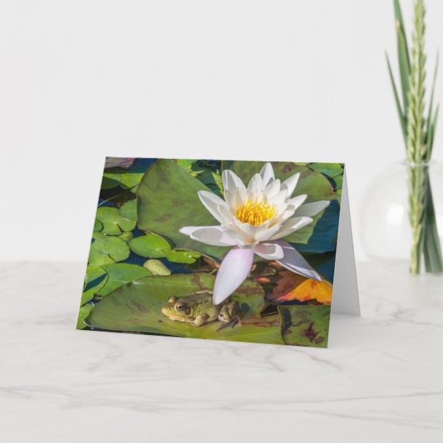 Ein Frosch unter einer Nnuphar-Blüte Karte (Vorderseite)
