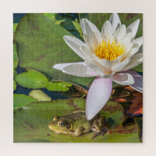 Ein Frosch unter einer Nnuphar-Blüte Puzzle