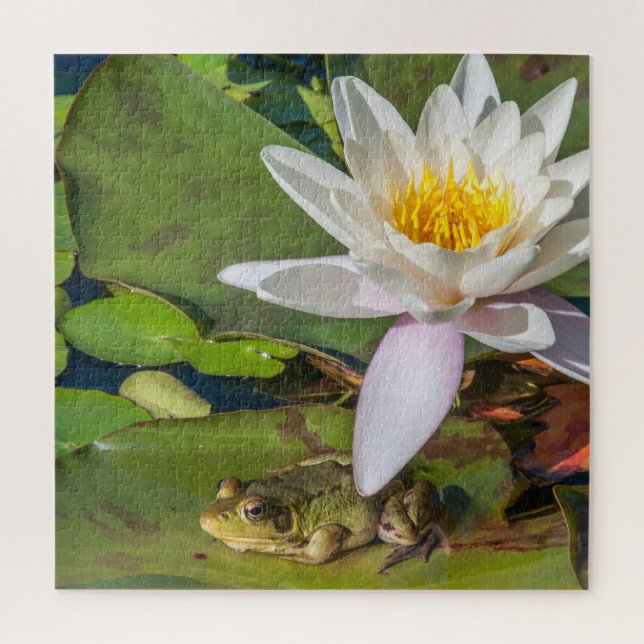 Ein Frosch unter einer Nnuphar-Blüte Puzzle (Vertikal)
