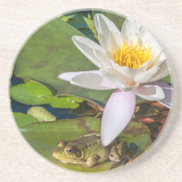 Ein Frosch unter einer Seeroseblume Getränkeuntersetzer