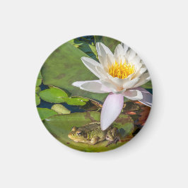 Ein Frosch unter einer Seeroseblume Magnet