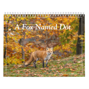 Ein Fuchs namens Dot. Kalender
