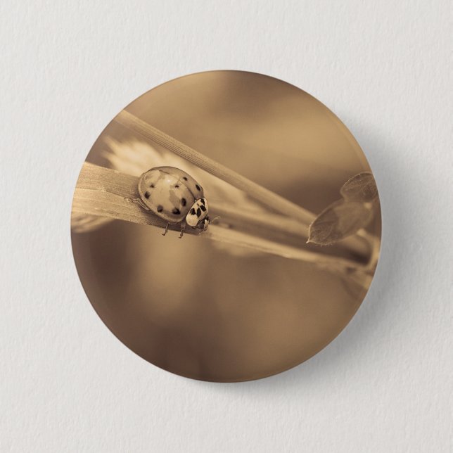 ein ganzer Sommer Button (Vorderseite)