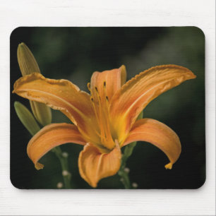Ein Garden Delight Mousepad