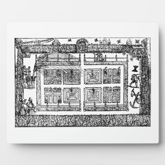 Ein Garten, aus dem Labyrinth des Gärtners, 1577 ( Fotoplatte (Vorderseite)