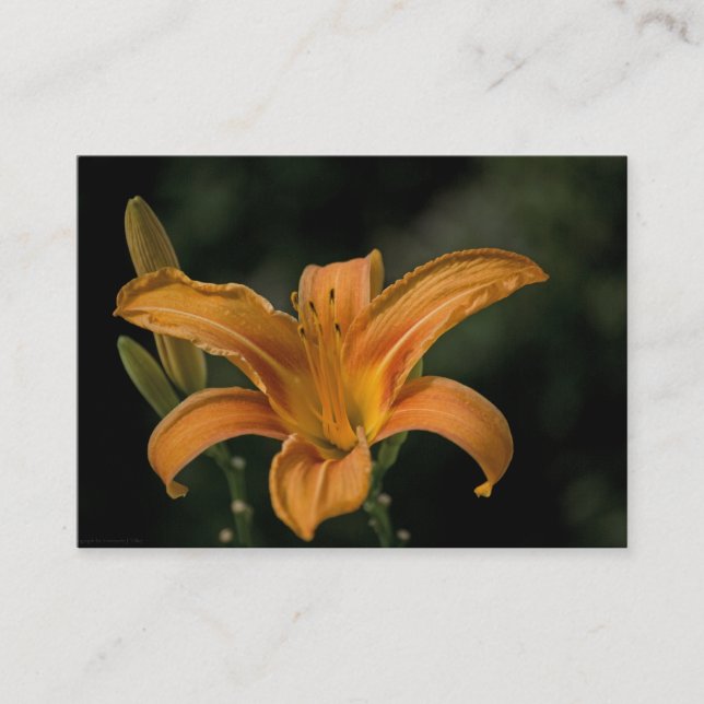 Ein Garten Deluxe Mini Print Visitenkarte (Vorderseite)