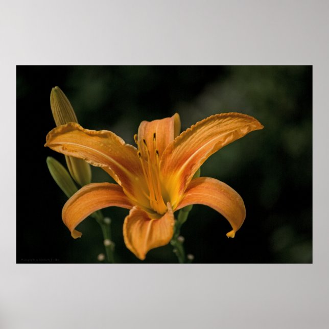 Ein Garten Freude Print Poster (Vorne)