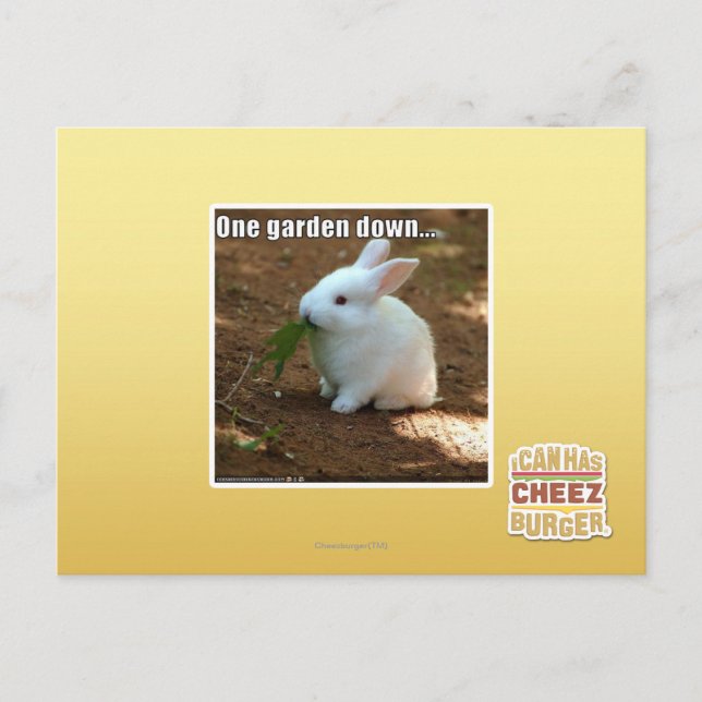 Ein Garten � Postkarte (Vorderseite)