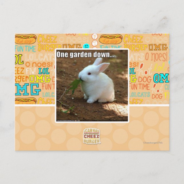 Ein Garten � Postkarte (Vorderseite)